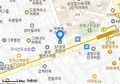 에스티성모피부과의원