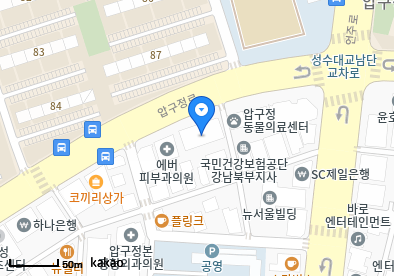 신사동 이비인후과 | 모든 전문의 및 일반의 병원 리스트 4 압구정현대이비인후과의원
