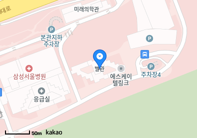 강남 이비인후과 | 24시간 응급·야간 진료 병원 총정리 3 삼성서울병원