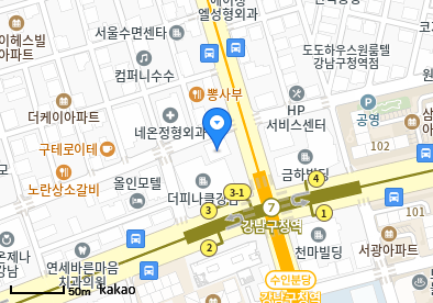 강남연세이비인후과의원