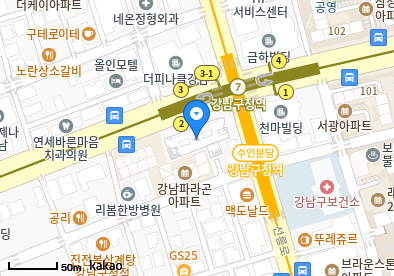 강남더의원