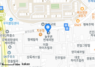 수유동 이비인후과 | 모든 일반의 병원 리스트 (일반 진료) - 파트 2 4 늘푸른연세의원