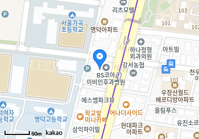비에스코아이비인후과병원