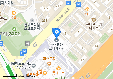 광진구 이비인후과 | 일요일 문 여는 병원 총정리 2 365류마고내과의원