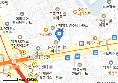 도곡동 이비인후과 | 모든 전문의 및 일반의 병원 리스트 4 박자룡이비인후과의원
