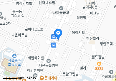 닥터스마일의원