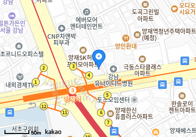 도곡동 이비인후과 | 모든 전문의 및 일반의 병원 리스트 9 양재내과의원