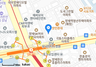 도곡동 이비인후과 | 모든 전문의 및 일반의 병원 리스트 10 라이프의원