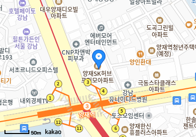 도곡동 이비인후과 | 모든 전문의 및 일반의 병원 리스트 11 연세문상영의원