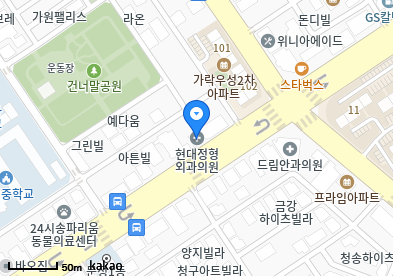 가락동 이비인후과 | 모든 일반의 병원 리스트 (일반 진료 가능) 4 현대정형외과의원