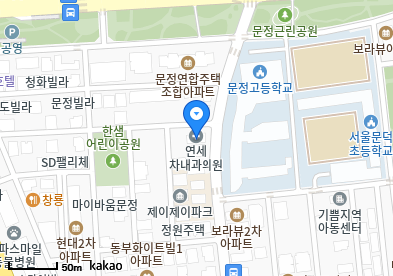문정동 이비인후과 | 모든 일반의 병원 리스트 (일반 진료 가능) 9 연세차내과의원