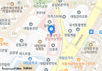영등포 이비인후과 | 일요일 문 여는 병원 총정리 7 한림대학교강남성심병원