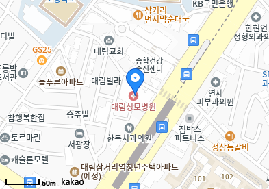 영등포 이비인후과 | 일요일 문 여는 병원 총정리 8 대림성모병원