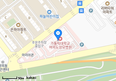 영등포 이비인후과 | 24시간 응급·야간 진료 병원 총정리 5 가톨릭대학교 여의도성모병원