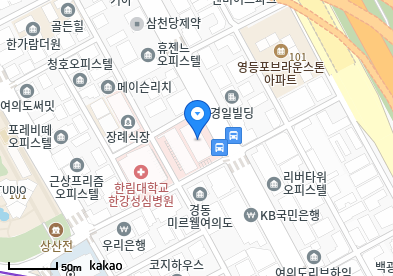 영등포 이비인후과 | 일요일 문 여는 병원 총정리 23 한림대학교한강성심병원