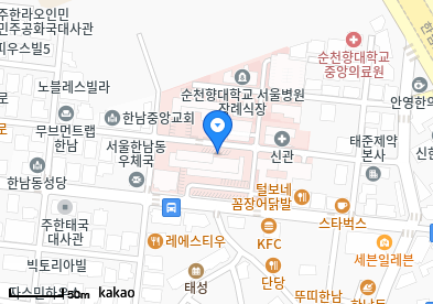 용산 이비인후과 | 일요일 문 여는 병원 총정리 6 순천향대학교 부속 서울병원