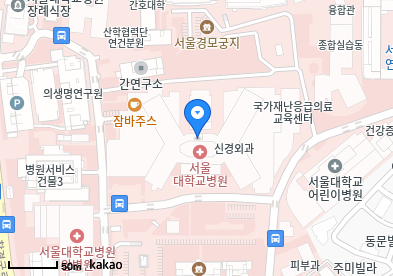 종로 이비인후과 | 일요일 문 여는 병원 총정리 3 서울대학교병원
