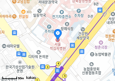 종로 이비인후과 | 일요일 문 여는 병원 총정리 6 서울적십자병원