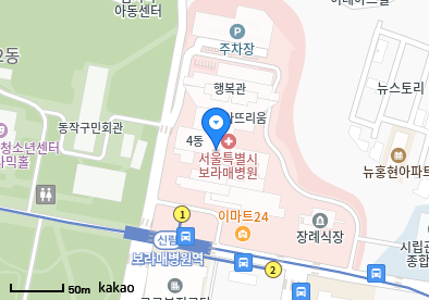 동작구 이비인후과 | 일요일 문 여는 병원 총정리 2 서울특별시보라매병원