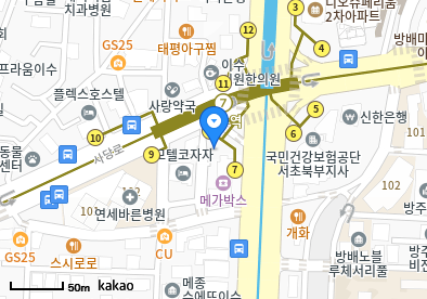 사당동 이비인후과 | 모든 일반의 병원 리스트 (일반 진료 가능) 7 강남성모내과의원