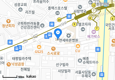 사당동 이비인후과 | 모든 일반의 병원 리스트 (일반 진료 가능) 9 새하늘내과의원