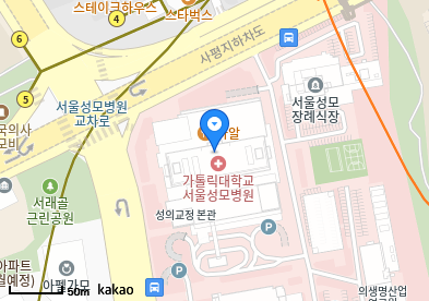 서초 이비인후과 | 일요일 문 여는 병원 총정리 2 가톨릭대학교 서울성모병원