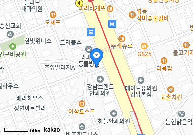 서초 이비인후과 | 일요일 문 여는 병원 총정리 4 연세내과의원