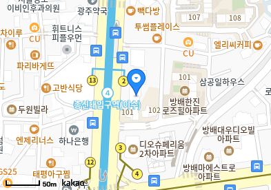 방배동 이비인후과 | 모든 일반의 병원 리스트 (일반 진료 가능) 11 서울에스마취통증의학과의원