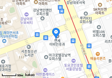 서초 이비인후과 | 일요일 문 여는 병원 총정리 7 연세이비인후과의원