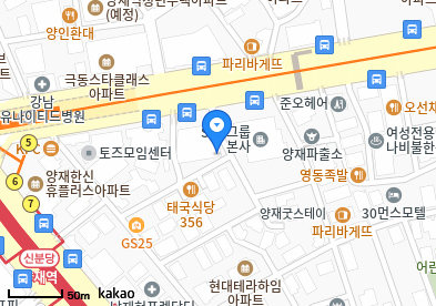 양재동 이비인후과 | 모든 전문의 및 일반의 병원 리스트 4 양재서울이비인후과의원