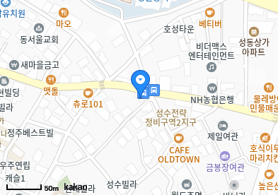성수최이비인후과의원