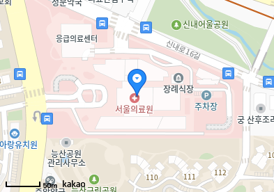 서울특별시 서울의료원