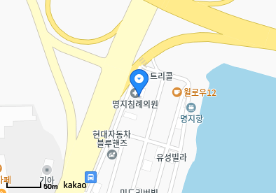 명지동 이비인후과 | 모든 일반의 병원 리스트 (일반 진료 가능) 3 image 13