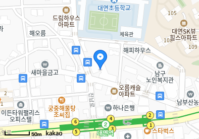 대연동 이비인후과 | 모든 일반의 병원 리스트 (일반 진료 가능) 5 image 19