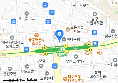 대연동 이비인후과 | 모든 일반의 병원 리스트 (일반 진료 가능) 6 image 20