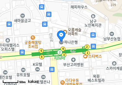 대연동 이비인후과 | 모든 일반의 병원 리스트 (일반 진료 가능) 8 image 22