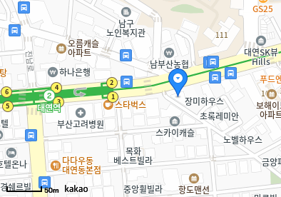 대연동 이비인후과 | 모든 일반의 병원 리스트 (일반 진료 가능) 13 image 27