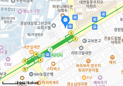 대연동 이비인후과 | 모든 일반의 병원 리스트 (일반 진료 가능) 16 image 30