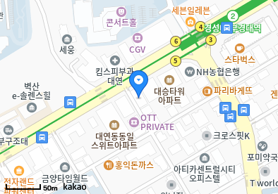 대연동 이비인후과 | 모든 일반의 병원 리스트 (일반 진료 가능) 17 image 31