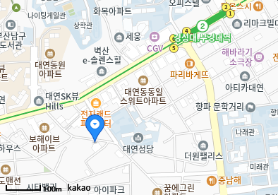 대연동 이비인후과 | 모든 일반의 병원 리스트 (일반 진료 가능) 18 image 32