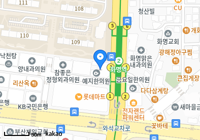 화명동 이비인후과 | 모든 일반의 병원 리스트 (일반 진료 가능) 16 포도원항외과의원