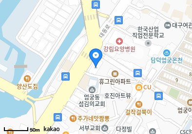 성모이비인후과의원