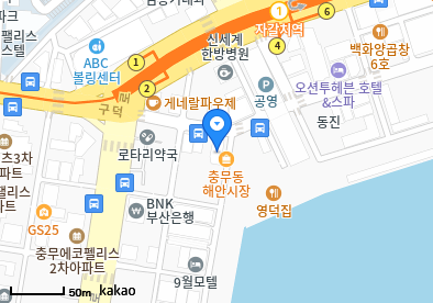 다솜의원