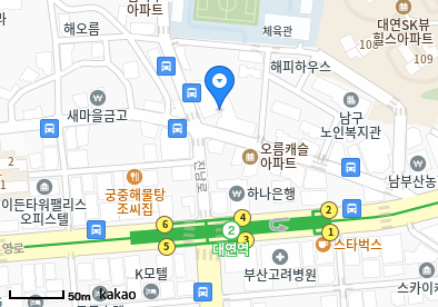 부산 남구 이비인후과 | 일요일 문 여는 병원 총정리 2 image 6
