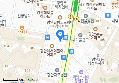광안동 이비인후과 | 일요일 진료 병원 리스트 3 가나안요양병원