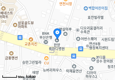 한양류마디병원